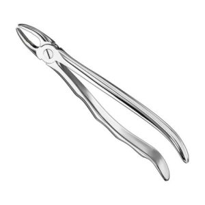 Extracting Forceps, Anat