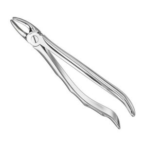 Extracting Forceps, Anat