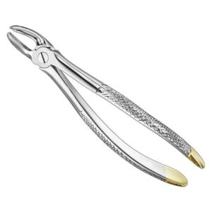 Extracting Forceps, Engl